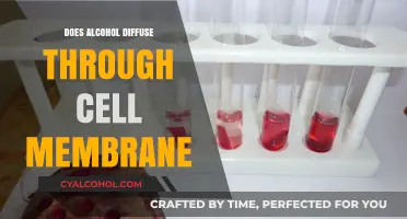 Can Alcohol Pass Through Cell Membranes? Exploring Diffusion Mechanisms