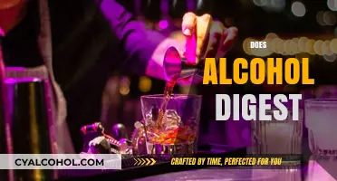 Does Alcohol Digest? Understanding How Your Body Processes Alcohol