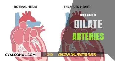 Alcohol's Impact: Does It Dilate Arteries or Pose Risks?