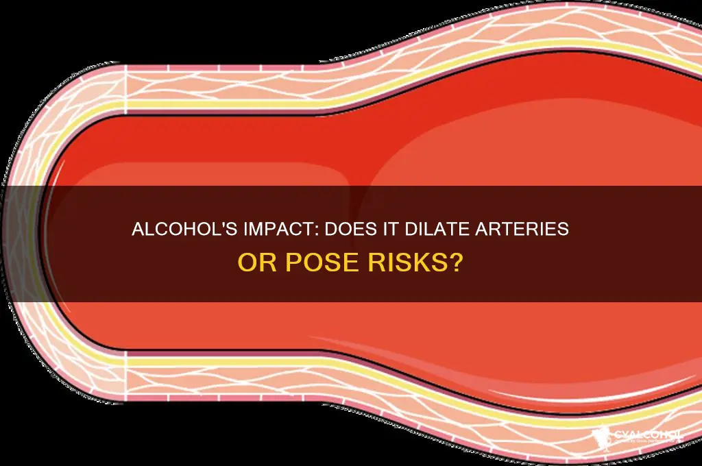 does alcohol dilate arteries