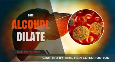 Does Alcohol Dilate Blood Vessels? Exploring Effects on Circulation