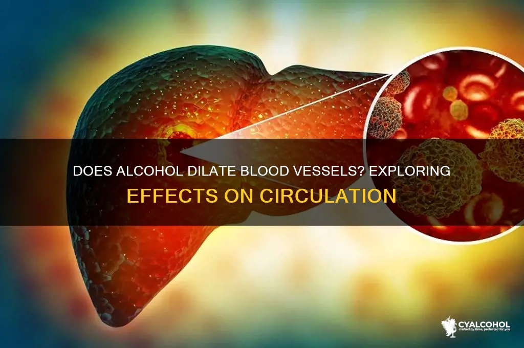 does alcohol dilate