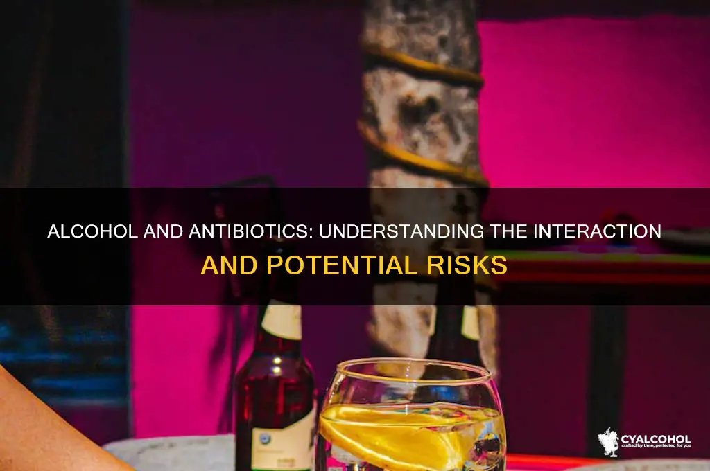 does alcohol dilute antibiotics