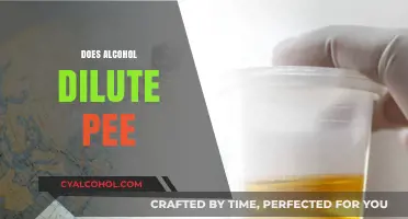 Does Alcohol Dilute Urine? Separating Fact from Fiction in Drug Testing