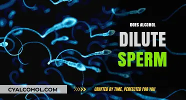 Alcohol and Fertility: Does Drinking Dilute Sperm Count?