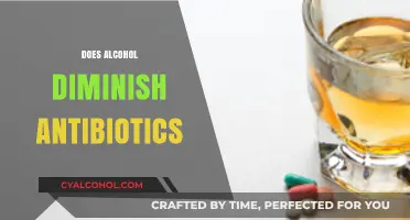 Alcohol and Antibiotics: Understanding the Impact on Medication Effectiveness