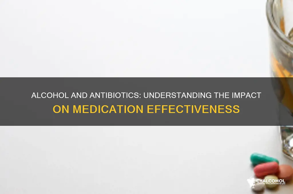 does alcohol diminish antibiotics