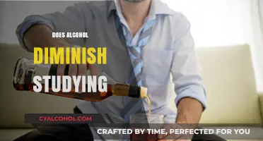 Alcohol and Study Performance: How Drinking Impacts Learning and Retention