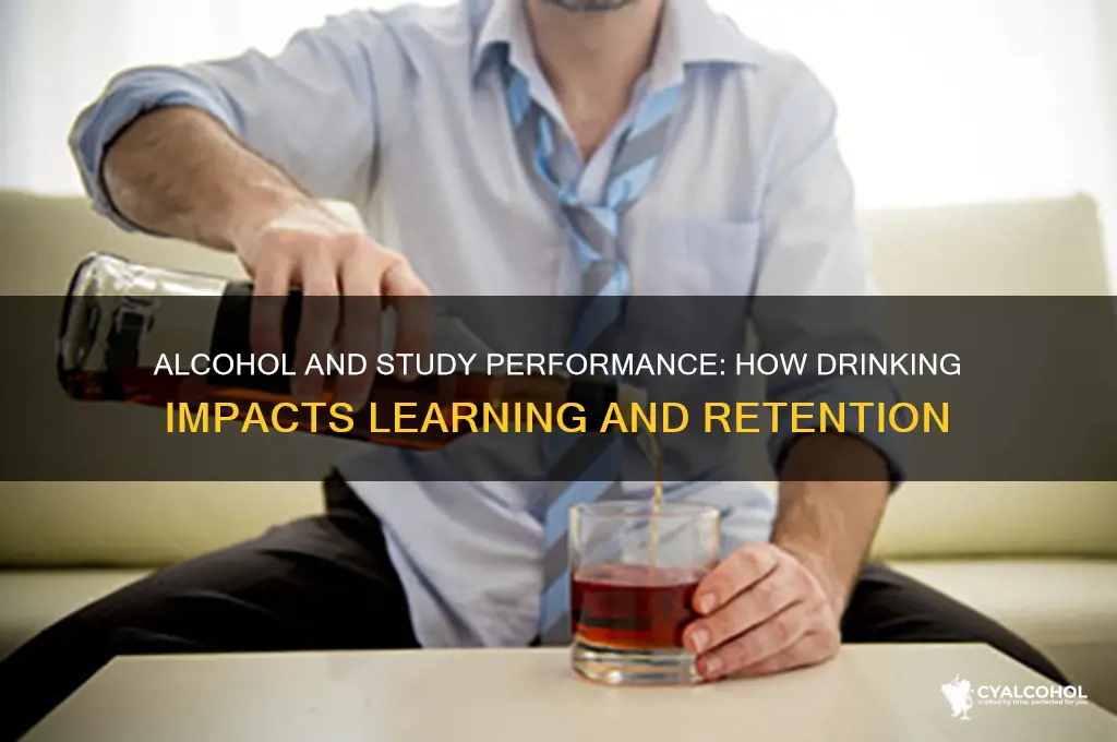 does alcohol diminish studying