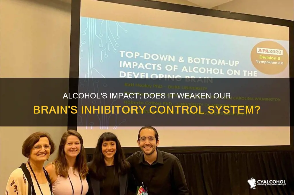 does alcohol dimisnish the inhibitory system