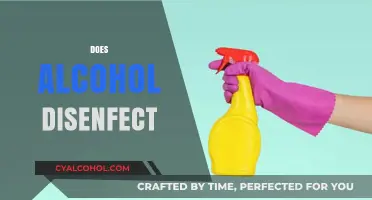 Alcohol as Disinfectant: Fact or Fiction? Uncovering the Truth
