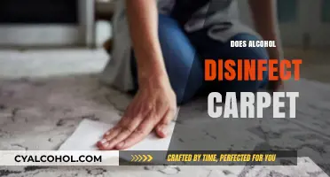 Can Alcohol Effectively Disinfect Your Carpet? Facts and Myths Revealed