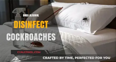 Can Alcohol Effectively Disinfect and Kill Cockroaches? Facts Revealed