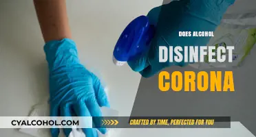 Alcohol and COVID-19: Can Drinking or Applying Disinfect the Virus?