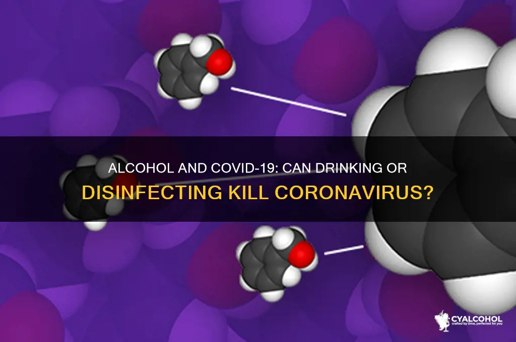 does alcohol disinfect coronavirus