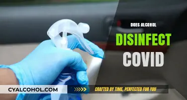 Alcohol and COVID-19: Can Drinking or Applying Disinfect the Virus?