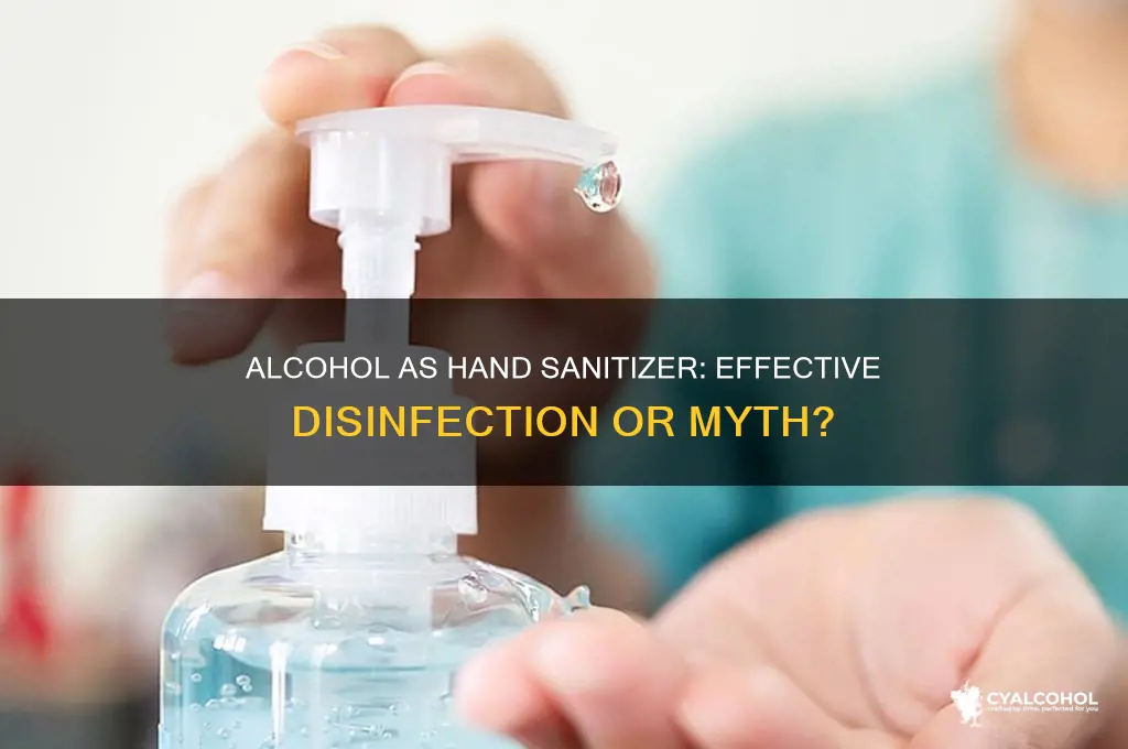 does alcohol disinfect hands
