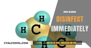 Does Alcohol Disinfect Instantly? Uncovering the Truth About Sanitization