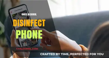Can Alcohol Safely Disinfect Your Phone? A Complete Cleaning Guide