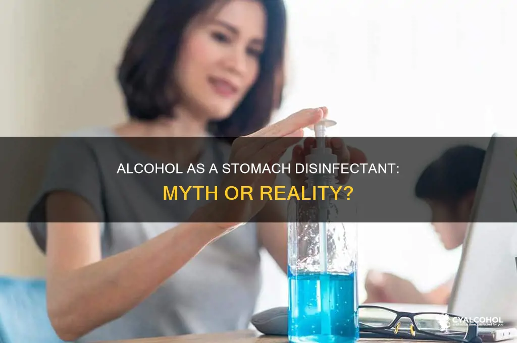 does alcohol disinfect stomach