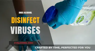 Alcohol as a Disinfectant: Can It Kill Viruses Effectively?