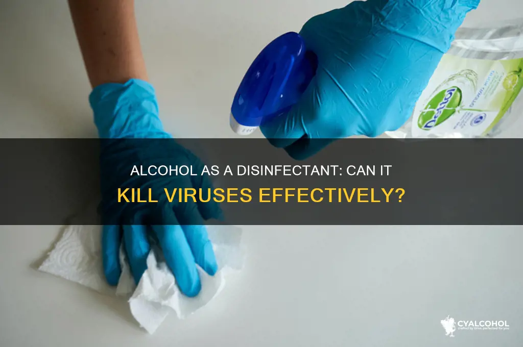 does alcohol disinfect viruses