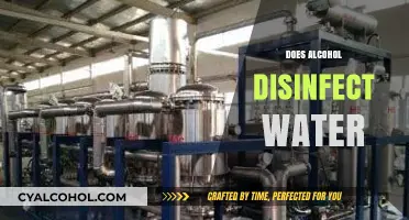 Can Alcohol Purify Water? Separating Fact from Fiction in Disinfection