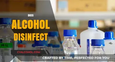 Alcohol as Disinfectant: Myths, Facts, and Effective Sanitization Methods