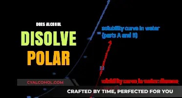 Does Alcohol Dissolve Polar Substances? Exploring Solubility Science