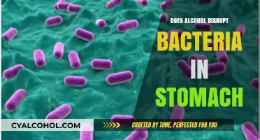 Alcohol's Impact: How It Disrupts Stomach Bacteria and Gut Health