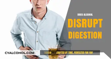 Alcohol and Digestion: How Drinking Impacts Your Gut Health