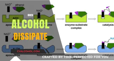 Does Alcohol Dissipate? Understanding Evaporation and Metabolism in Drinks