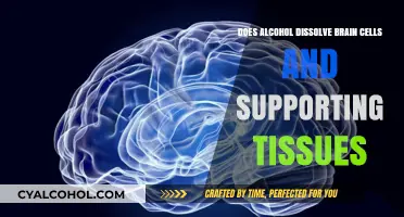Alcohol's Impact: Does It Dissolve Brain Cells and Supporting Tissues?
