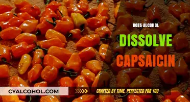 Alcohol and Capsaicin: Does a Drink Dissolve the Heat?