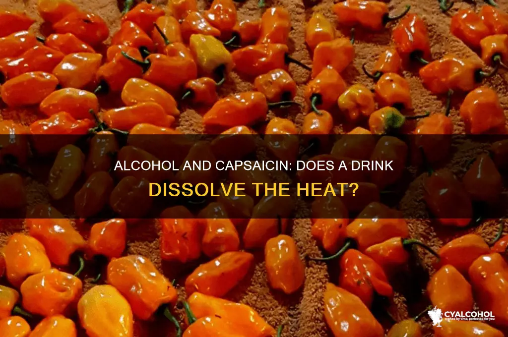 does alcohol dissolve capsaicin