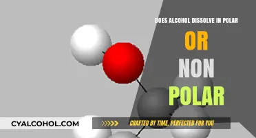 Does Alcohol Dissolve in Polar or Non-Polar Solvents?