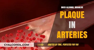 Alcohol and Arterial Plaque: Myth or Potential Health Benefit?
