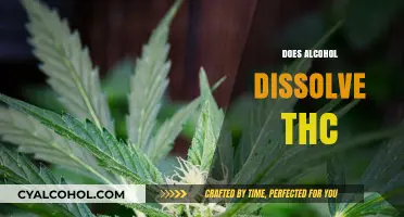 Does Alcohol Dissolve THC? Exploring Solubility and Extraction Methods