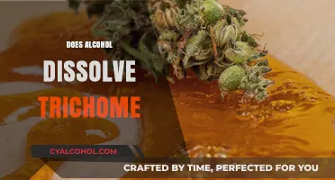 Does Alcohol Dissolve Trichomes? Exploring Solvents and Cannabis Extraction