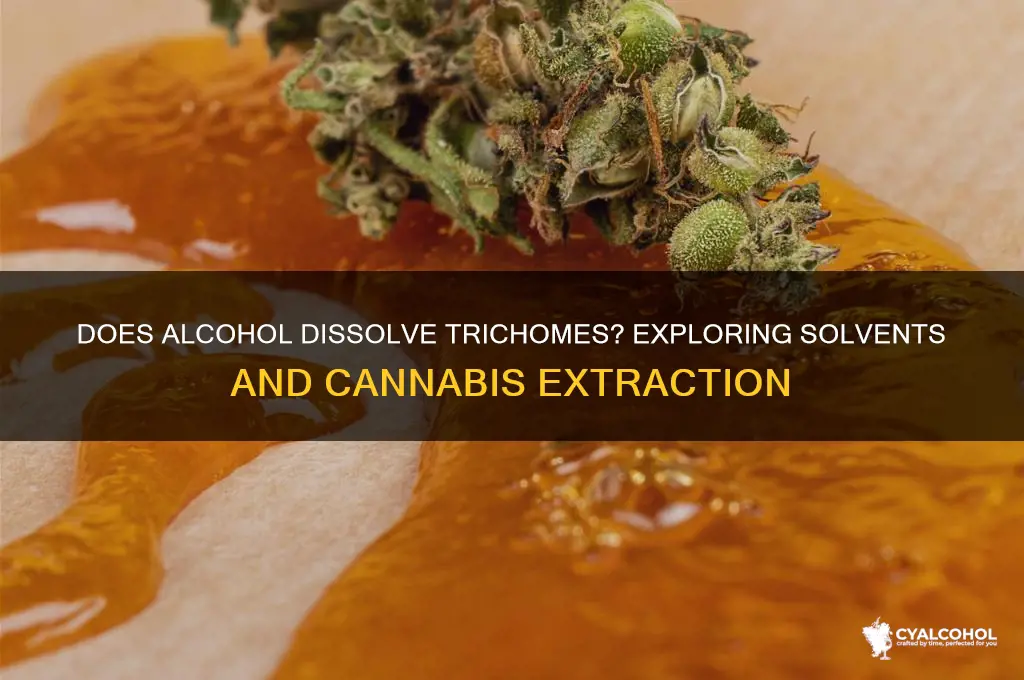 does alcohol dissolve trichome
