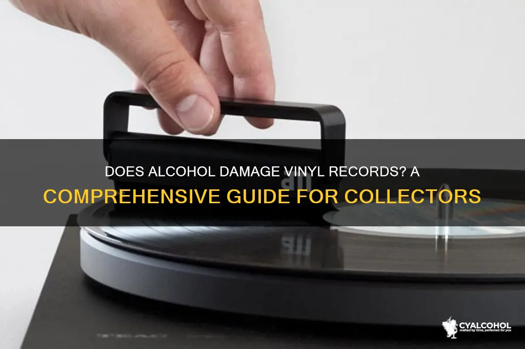 does alcohol dissolve vinyl