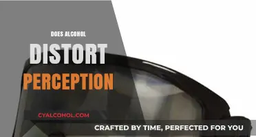 How Alcohol Alters Reality: Exploring Perception Distortion and Its Effects