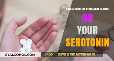 Alcohol's Impact: Can It Cause Permanent Serotonin Damage?