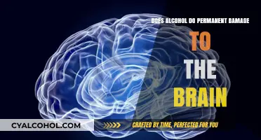 Alcohol's Long-Term Impact: Uncovering Permanent Brain Damage Risks and Effects