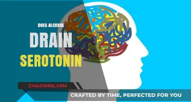 Does Alcohol Drain Serotonin? Uncovering the Truth Behind the Myth