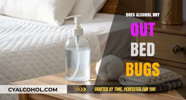 Alcohol and Bed Bugs: Does It Dry Them Out or Not?