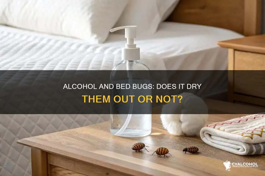 does alcohol dry out bed bugs