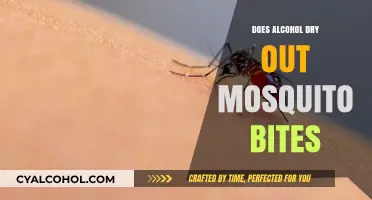 Alcohol on Mosquito Bites: Does It Dry or Worsen the Itch?