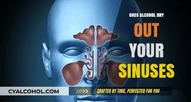 Alcohol and Sinus Health: Does Drinking Cause Dryness?