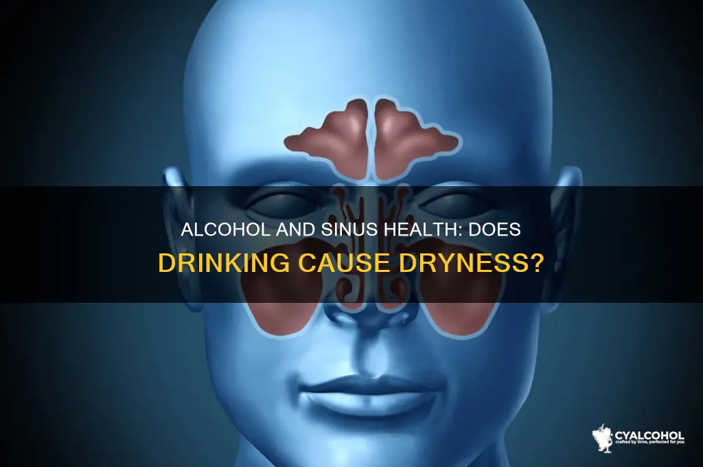 does alcohol dry out your sinuses